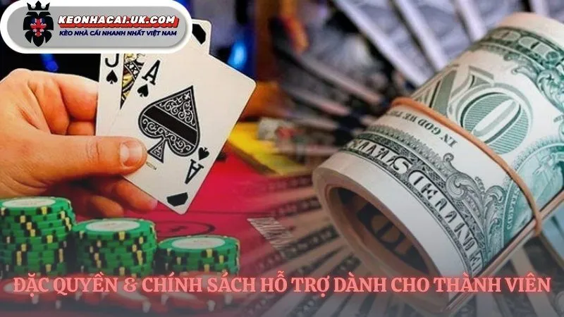 Các chính sách hỗ trợ người chơi Bong88