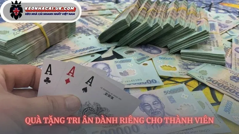 Các ưu đãi độc đáo đang chờ bạn